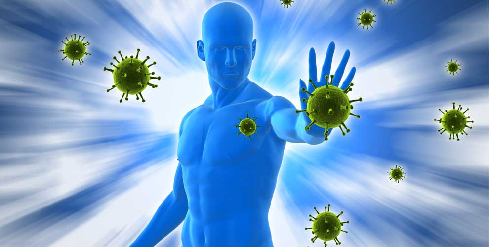 ek immunity system 1 1