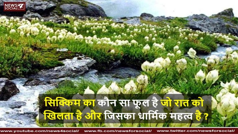 ब्रह्मकमल