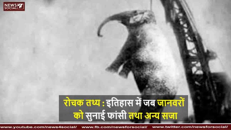 हाथी को फांसी