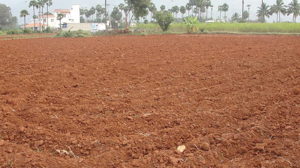 types of soil in india 990x556 1