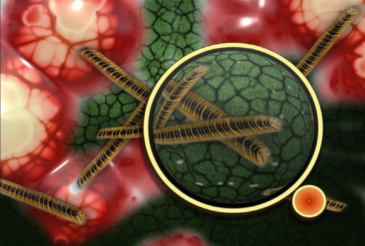 bacteria 1594113540