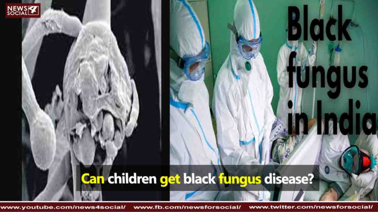 Black Fungus