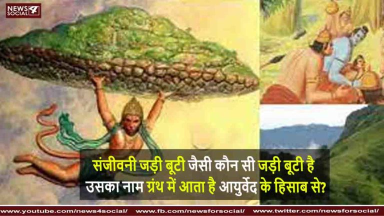 संजीवनी बूटी