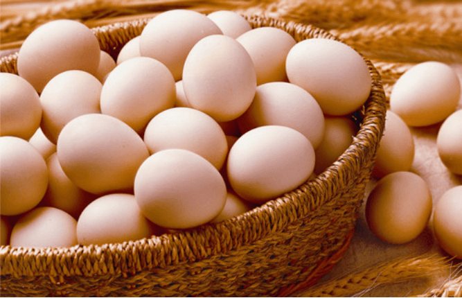 egg non