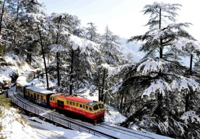 shimla non