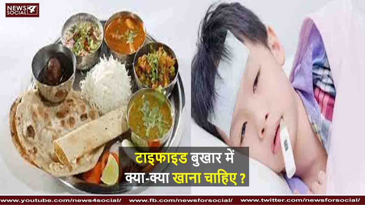 टाइफाइड बुखार में क्या-क्या खाना चाहिए ?