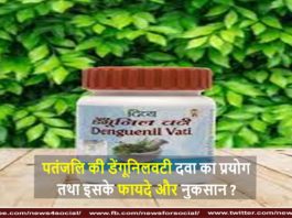 पतंजलि की डेंगूनिलवटी दवा का प्रयोग तथा इसके फायदे और नुकसान Use of Patanjali's Denguenil vati medicine and its advantages and disadvantages
