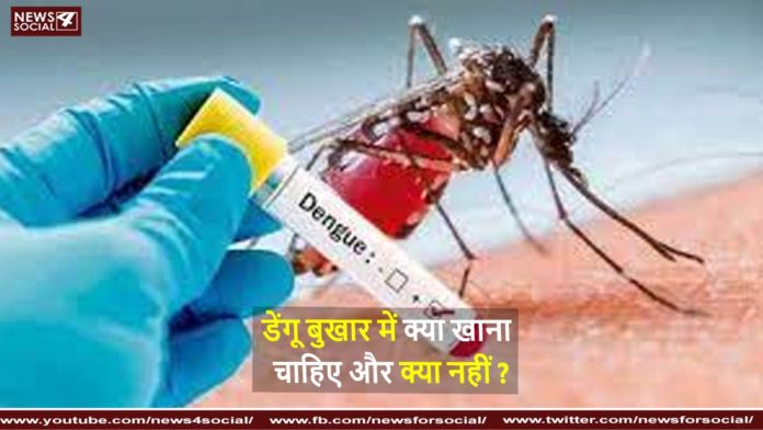 डेंगू बुखार में क्या खाना चाहिए और क्या नहीं What to eat and what not to eat in dengue fever डेंगू बुखार में क्या खाना चाहिए और क्या नहीं What to eat and what not to eat in dengue fever