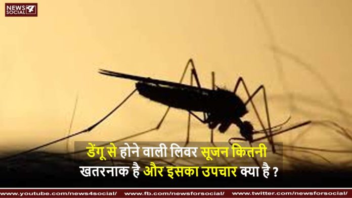 डेंगू से होने वाली लिवर सूजन कितनी खतरनाक है और इसका उपचार क्या है ? ( How dangerous is liver inflammation caused by dengue and what is its treatment? )