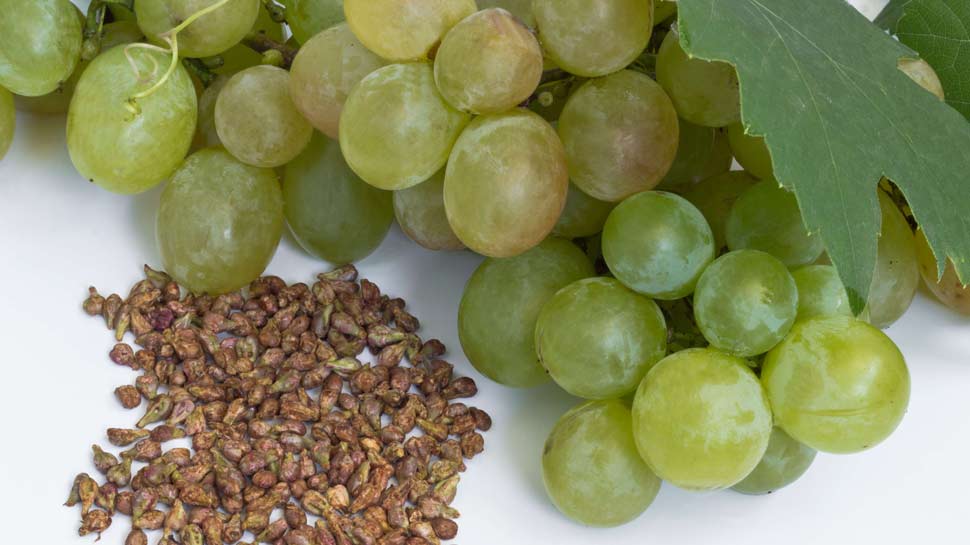 1058730 grape seeds