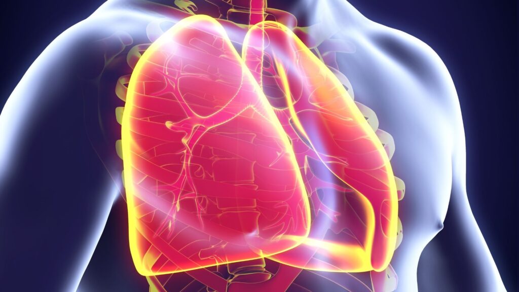 Bronchitis 1024x576 1