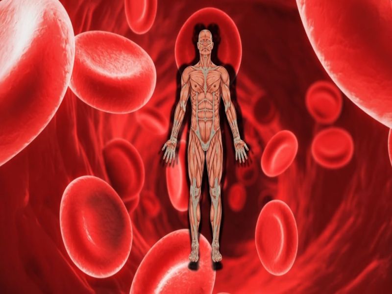 anemia ron defeciency44 201911129767