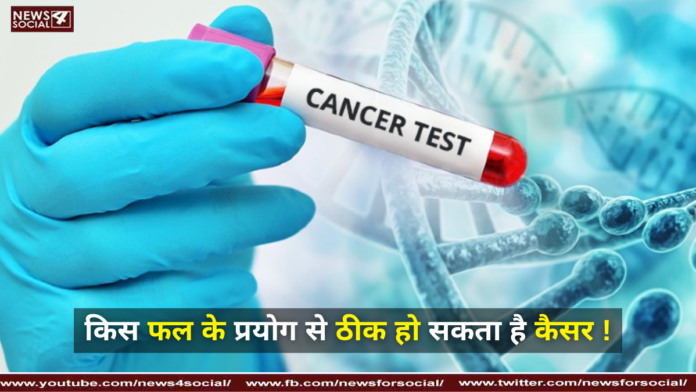 किस फल के प्रयोग से ठीक हो सकता है कैसर !