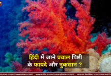 हिंदी में जाने प्रवाल पिष्टी के फायदे और नुकसान ? हिंदी में जाने प्रवाल पिष्टी के फायदे और नुकसान ?