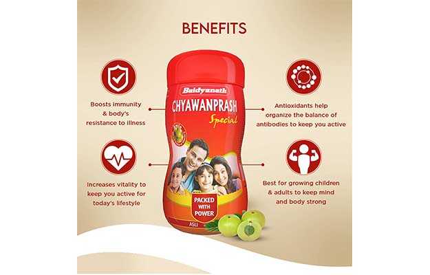 Baidyanath Chyawanprash Special 3