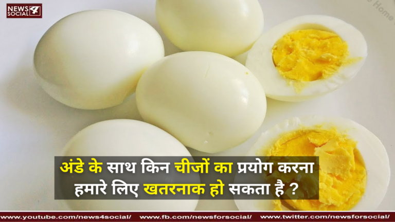 अंडे के साथ किन चीजों का प्रयोग करना हमारे लिए खतरनाक हो सकता है ?