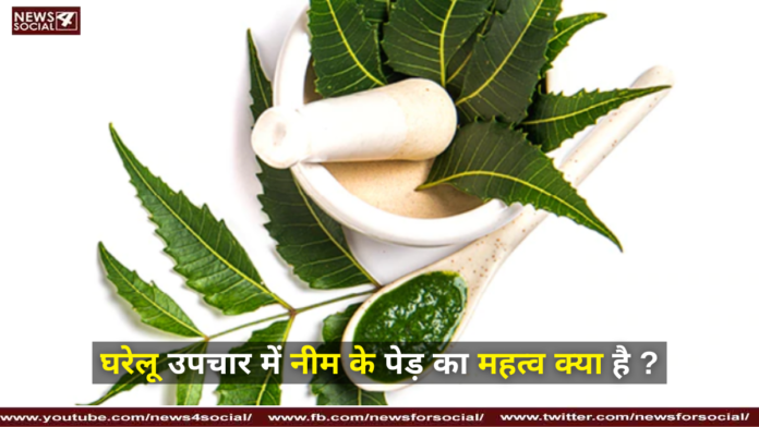 घरेलू उपचार में नीम के पेड़ का महत्व क्या है ?