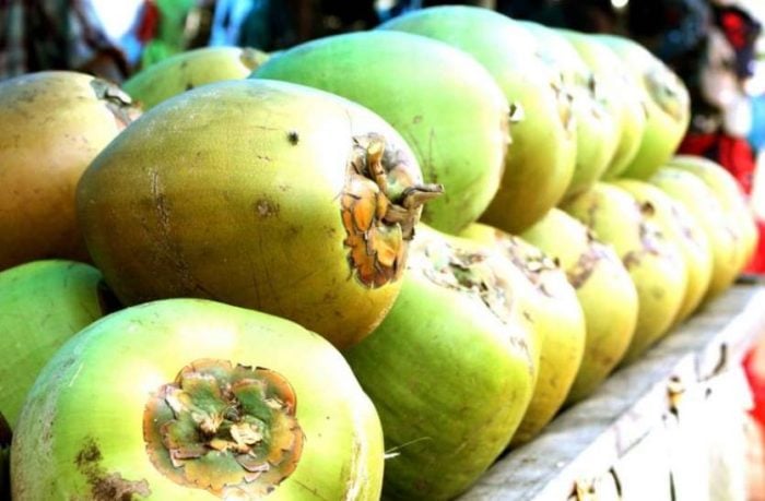 nariyal paani