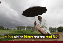 बारिश होने पर किसान क्या-क्या करते हैं ? बारिश होने पर किसान क्या-क्या करते हैं ? ( What do farmers do when it rains ? )