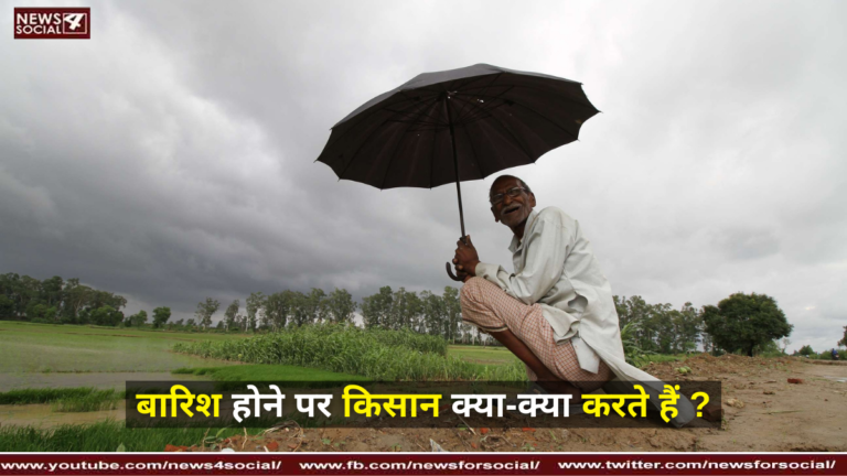 बारिश होने पर किसान क्या-क्या करते हैं ? ( What do farmers do when it rains ? )