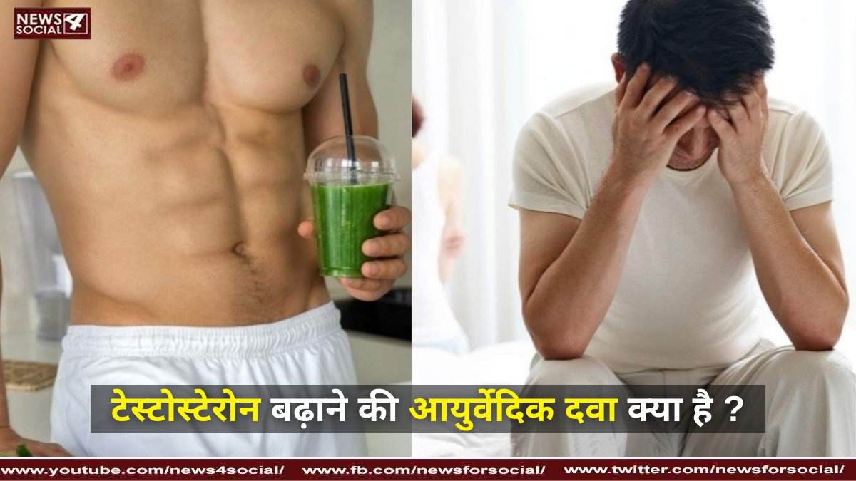 टेस्टोस्टेरोन बढ़ाने की आयुर्वेदिक दवा क्या है ?