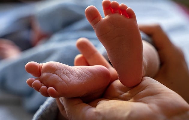 it8dmhbo baby generic 625x300 09 June 21