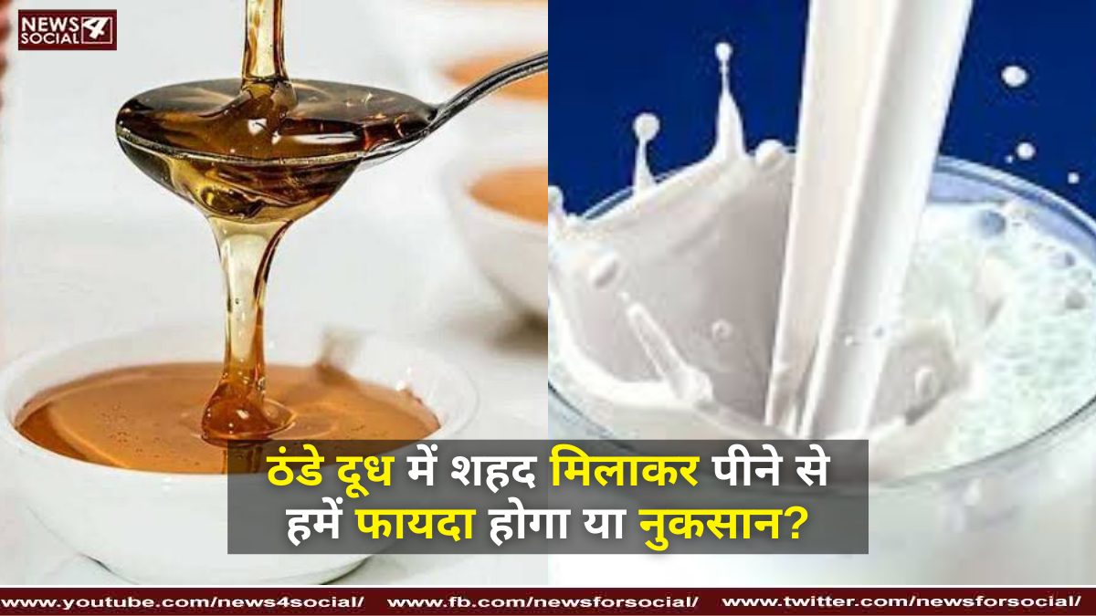 ठंडे दूध में शहद मिलाकर पीने से हमें फायदा होगा या नुकसान ?