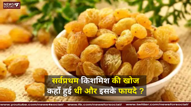 सर्वप्रथम किशमिश की खोज कहाँ हुई थी और इसके फायदे ? ( Where was raisin first discovered and its benefits? )